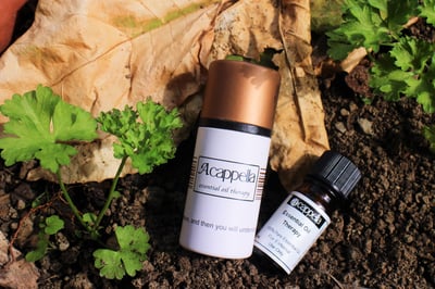 道格拉斯冷杉（有機）Fir, Douglas1