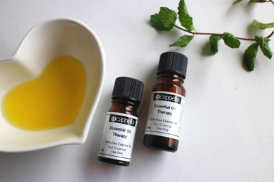 大西洋雪松精油（有機）Cedarwood, Atlas1