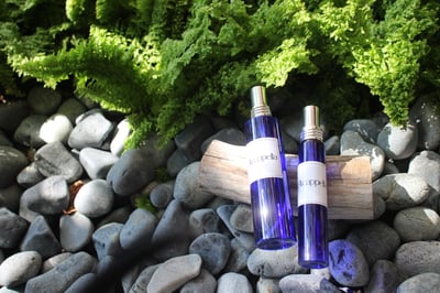 西洋蓍草純露 Yarrow2