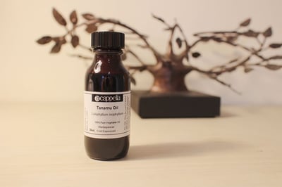 【植物油】瓊崖海棠油（有機） Tamanu Oil