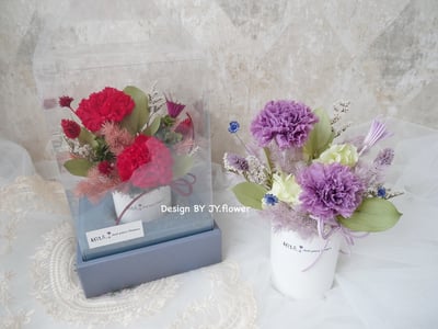 母親節花禮【不凋康乃馨盆花】永生康乃馨盆花2