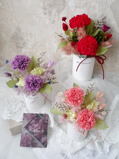 母親節花禮【不凋康乃馨盆花】永生康乃馨盆花1