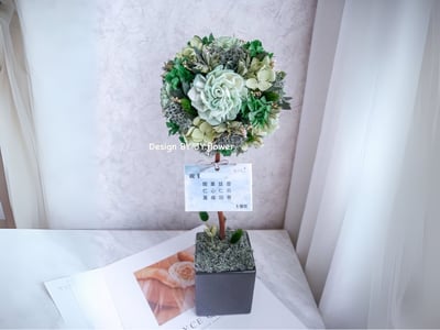 乾燥永生繡球花球樹盆花【蓊鬱之森】1