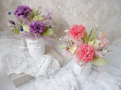 母親節花禮【不凋康乃馨盆花】永生康乃馨盆花5