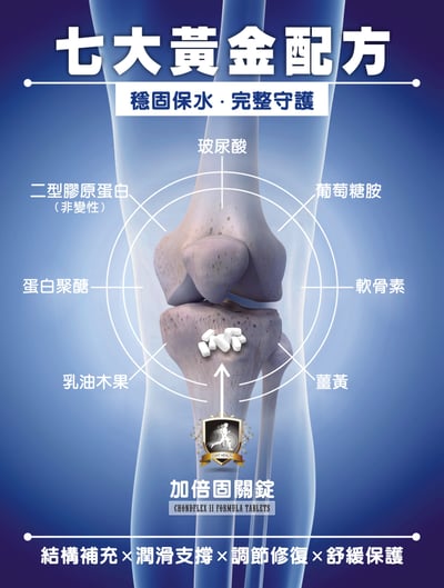 【加倍固關錠】120錠3