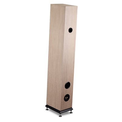 雅瑟音響 USHER LS-5 落地式喇叭2