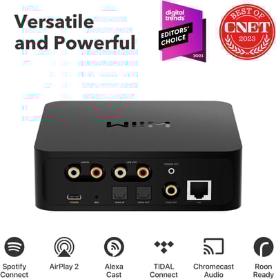 WiiM PRO 串流播放器2