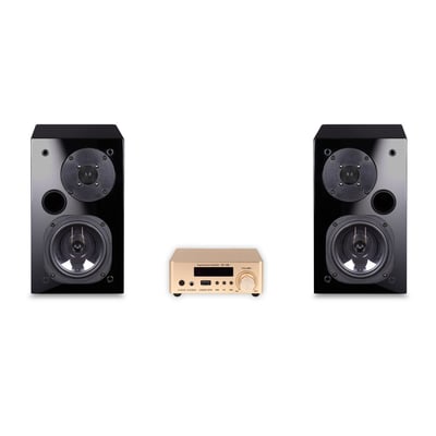 USHER S-520 / PA-100 藍牙擴大機, 二聲道組合1