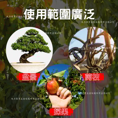 8吋花剪(附彈簧)5