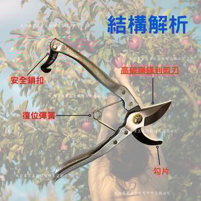 8吋花剪(附彈簧)3