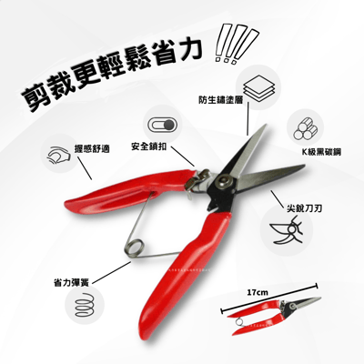 獅王-田中花剪2