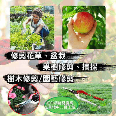 芽切鋏-紅白柄4