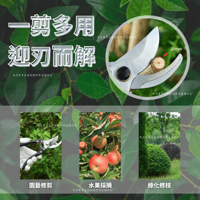 園藝剪-剪定鋏6