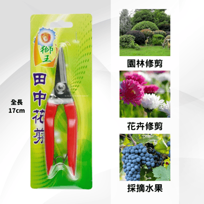 獅王-田中花剪3