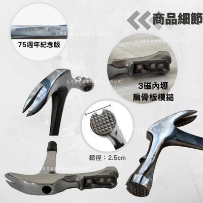 3磁內壢扁骨板模鎚3