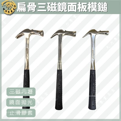 扁骨三磁鏡面板模鎚1