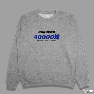 (大學T)我真的好想要那40000塊 yarn有夠寶4