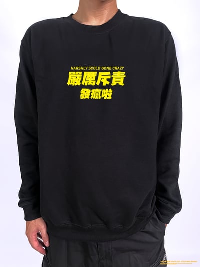 (大學T)嚴厲斥責發瘋啦 yarn有夠寶2