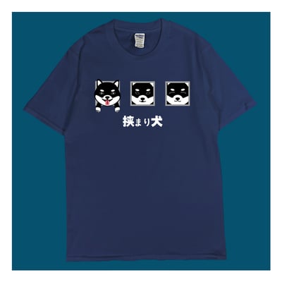 (短T)牆壁裡的狗 yarn有夠寶(黑柴款)5