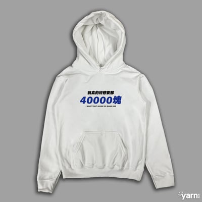 (連帽上衣)我真的好想要那40000塊 yarn有夠寶1