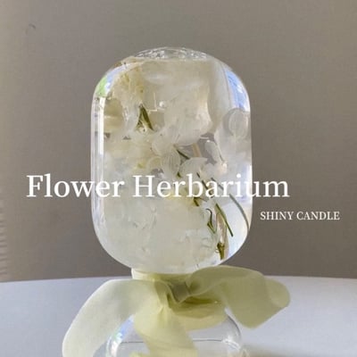 SDCA治癒浮游花水晶球5