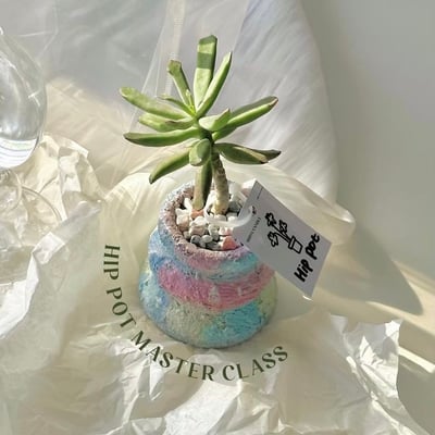 Hippot 植物盆器師資證書2