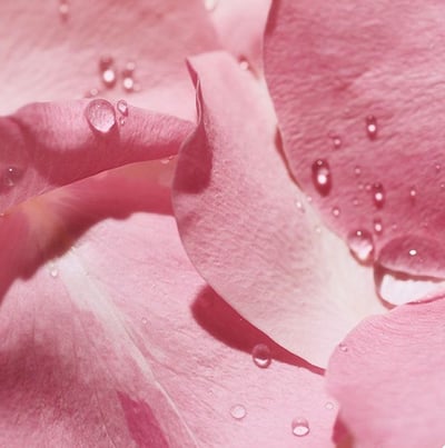 KPIA 無酒精證書（需先上完KPIA lv.1大證書）6