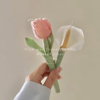 CLAB蜜蠟花一日師資證書課程1