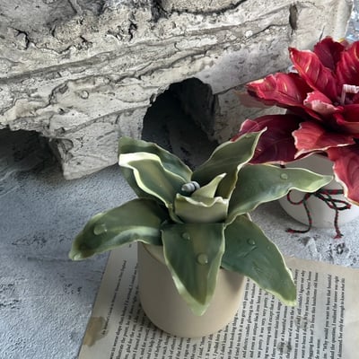 CLAB植物蠟燭師資證書課4