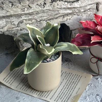 CLAB植物蠟燭師資證書課2