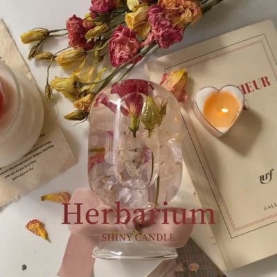 SDCA治癒浮游花水晶球1