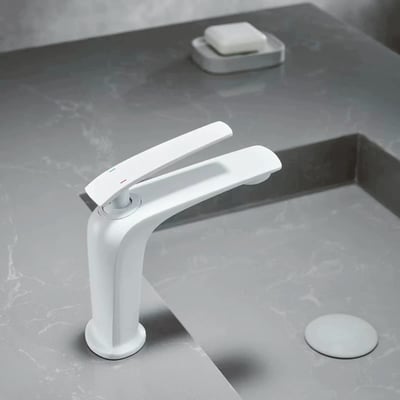 DE系列 - 弧身曲度設計面盆龍頭 - BW-1003338