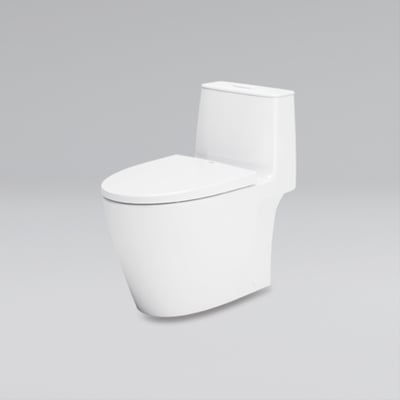 日本 INAX 單體馬桶AC-902VN-TW/BW1(new)1