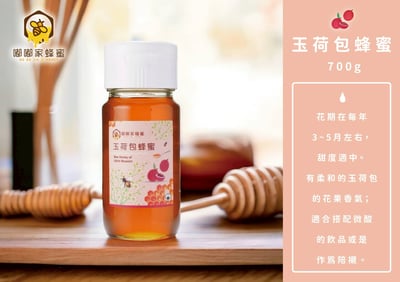 ｜嘟嘟家｜玉荷苞蜂蜜｜野生龍眼蜂蜜｜野生草本蜜｜優質大瓶裝3入組合+【獨家】再送精巧蜂蜜翅膀禮盒組乙組｜6