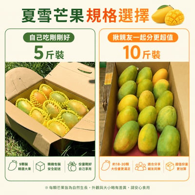 ｜芒果界LV｜屏東夏雪芒果禮盒｜A款：5斤禮盒｜B款：10斤家庭號4