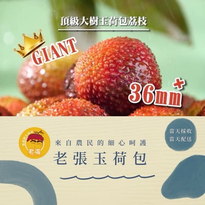 ｜預購｜老張｜玉荷包荔枝｜兩款｜A款：霸王級-36mm+｜B款：精選級-33mm+｜5台斤／箱×2箱｜6