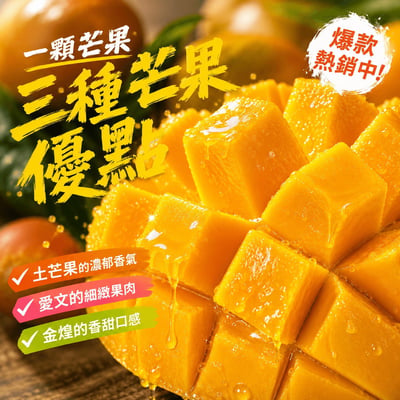 ｜芒果界LV｜屏東夏雪芒果禮盒｜A款：5斤禮盒｜B款：10斤家庭號2