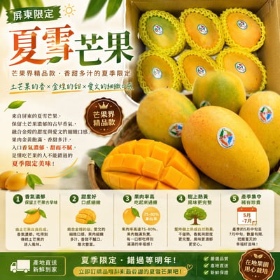 ｜芒果界LV｜屏東夏雪芒果禮盒｜A款：5斤禮盒｜B款：10斤家庭號6