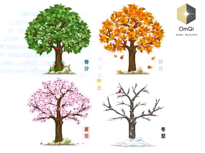 OmQi 量子經絡四季五行套組 ( 特大組 ) 1