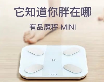 有品魔秤 ---  體脂體重計1