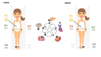 OmQi 量子經絡四季五行套組-EX3