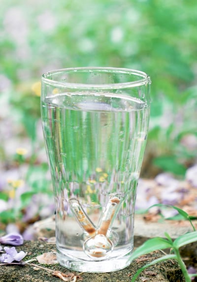 1 OmQi 飲後活龍組4