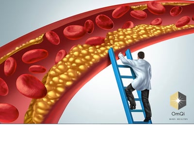 6 OmQi 清道夫組1