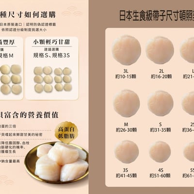 生食級日本干貝L /1kg/高雄海鮮網購推薦2