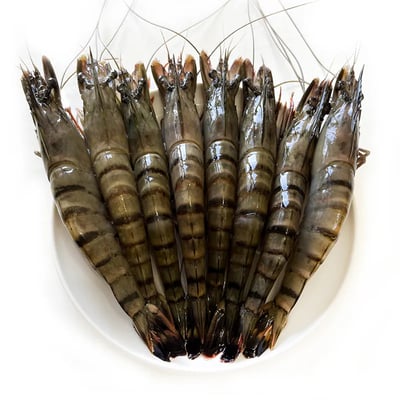 活凍極鮮霸王海味大草蝦(8尾入共380g)1