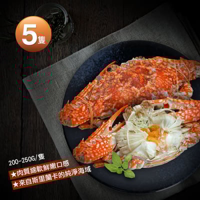 斯里蘭卡生凍母花蟹5隻(200-250g/隻)1
