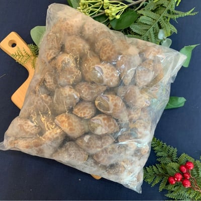 長鳳螺 50/80 2kg/包1