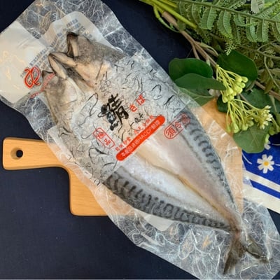 鯖魚一夜干 440g-480g/片/高雄買漁貨1