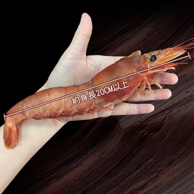 刺身用頂級XL巨無霸天使紅蝦1包(1kg/包/約15尾±3尾)2