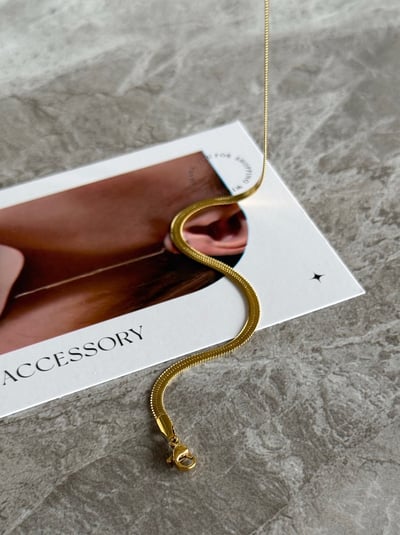 316L Wide Snake Gold Chain 百搭扁蛇骨扁鍊1